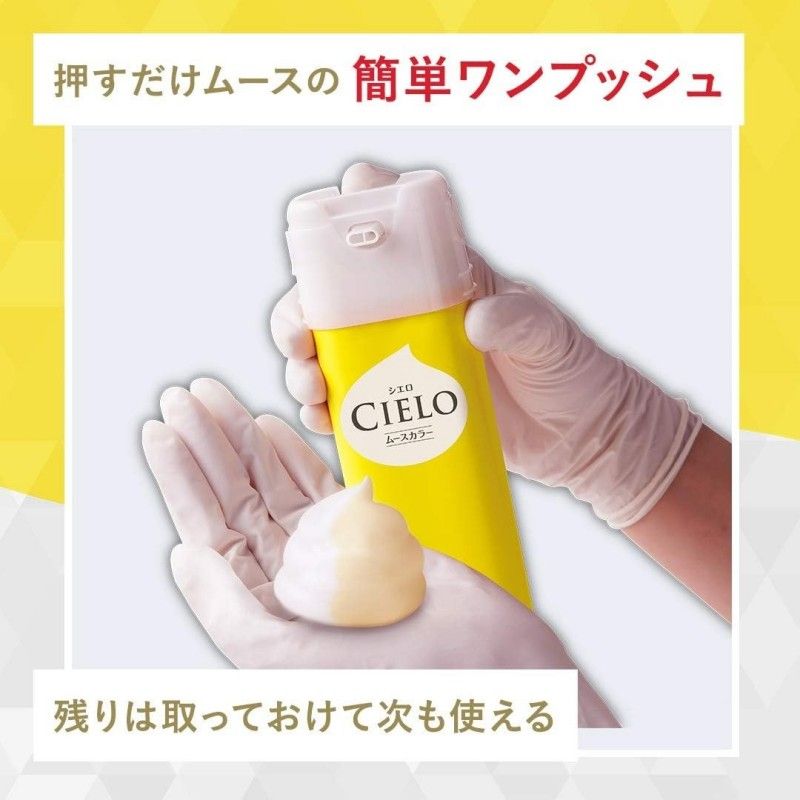 Hoyu Cielo Moose Color #6 Dark Brown