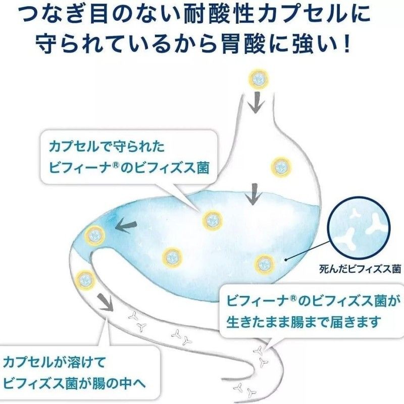 Morishita Bifina R 2.5 Billion Profitable Lactic Acid Bacteria 20 days