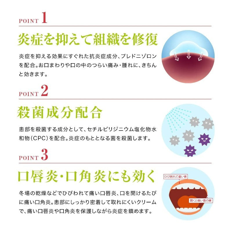 Morishita Jintan Dental Pill Cream 5g