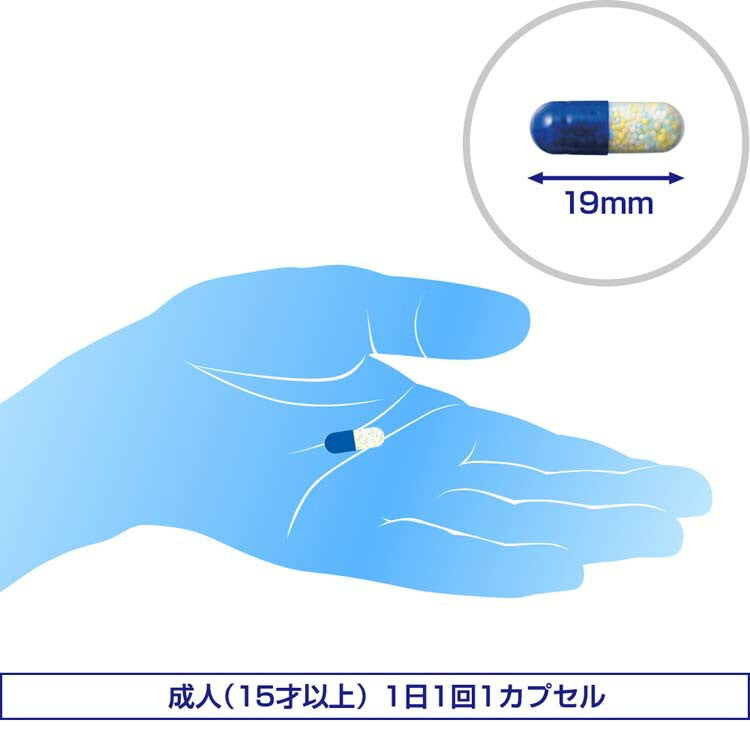 Aneron Varnish Cap 4pcs