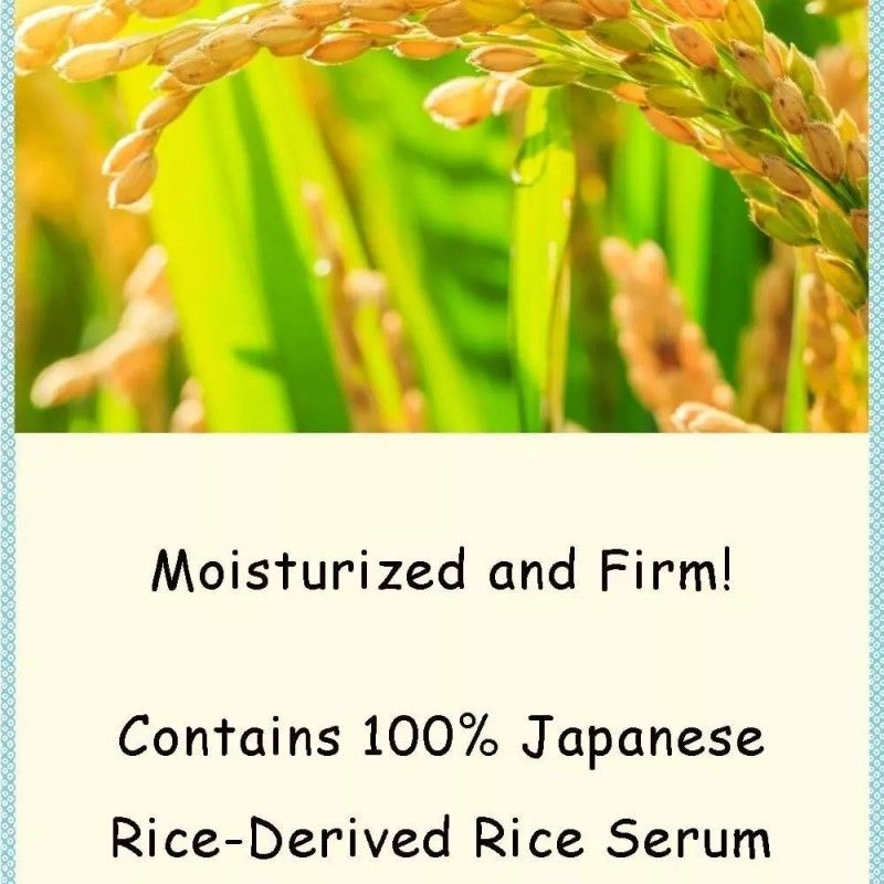 Ishizawa Lab石泽研究所大米面膜毛穴抚子补水滋润净透 10片