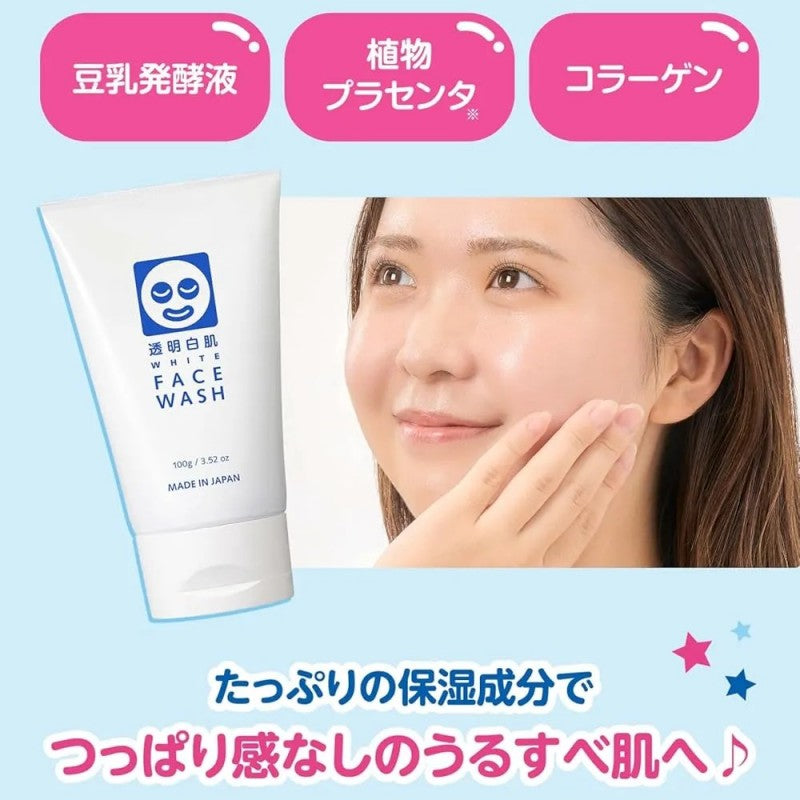 Ishizawa Lab石泽研究所透明白肌净白洗面乳 100g