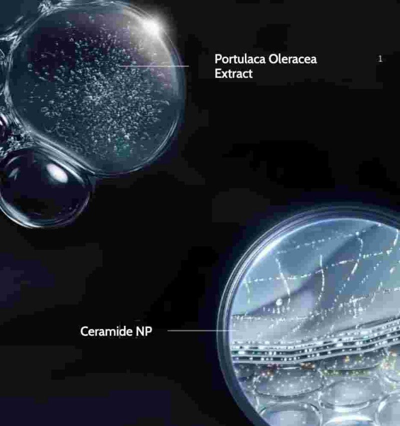 Mao Geping Luxury Regenerating Black Cream 25g