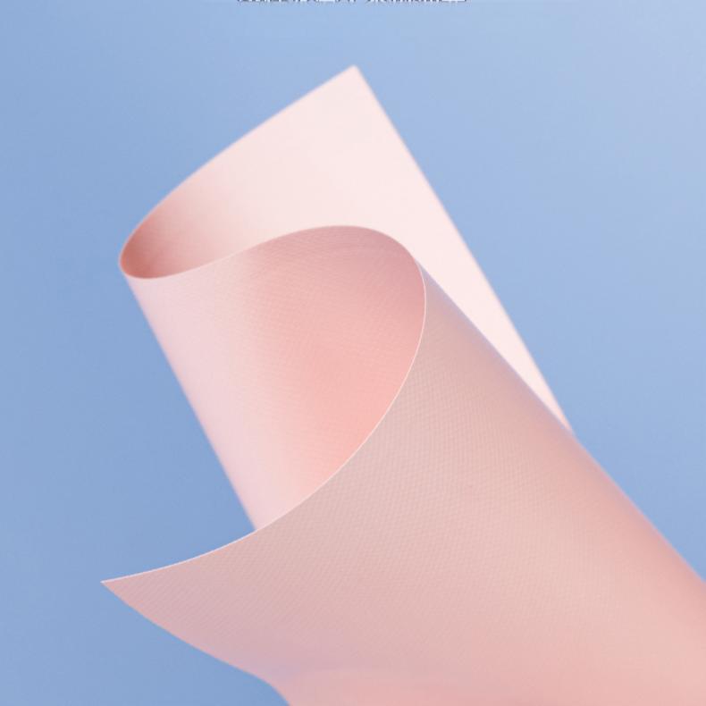 Allsmile Blue Oil-Absorbing Paper 50pcs