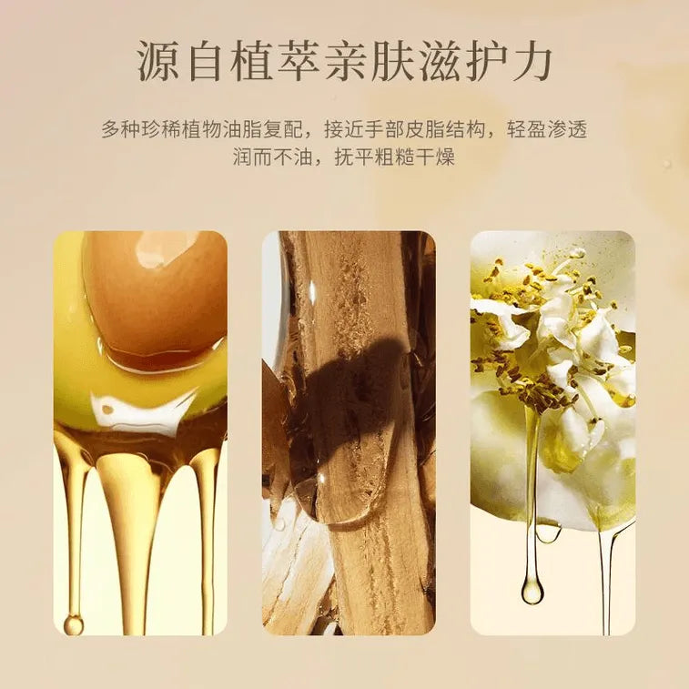 Aarye Fragrance Hand Cream Aluminum Tube Bergamot Leaves 60g