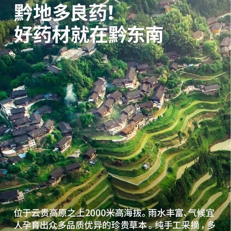 Zhenbuer Baishu Huangqin Paste Hot Compress Moxibustion Heat Patch 8pcs