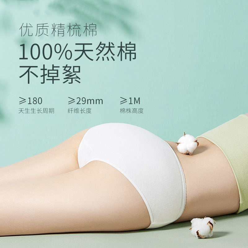 Youngtime Disposable Cotton Underwear XXL 1pcs