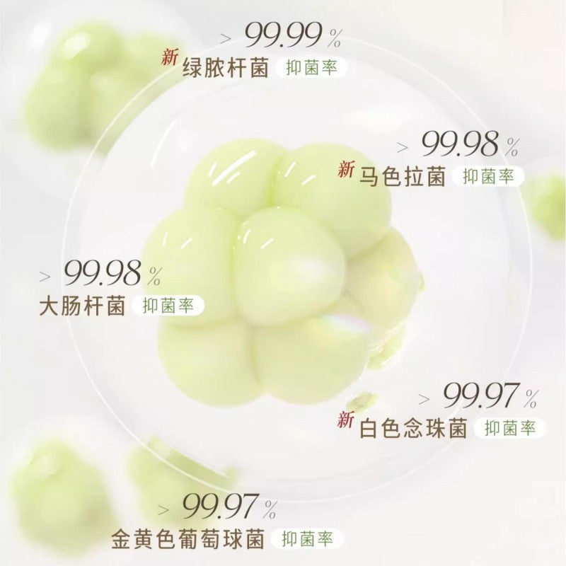 Pure Elements笙木之源内衣清洗液春日公园 500ml