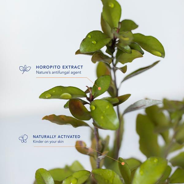 Lycocelle Lingerie Laundry Detergent Grapefruit Scent 300ml