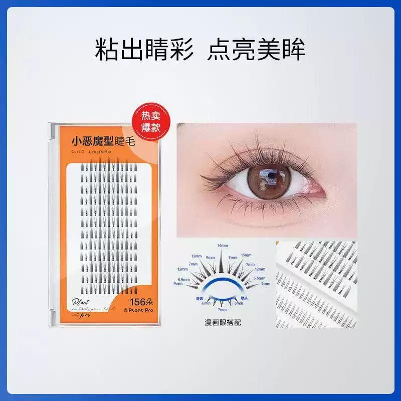 Plantpro Little Devil False Eyelash 156 clusters