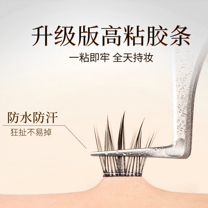 Lishu Glue Free False Eyelashes Mesmerizing Eyes 6 Rows