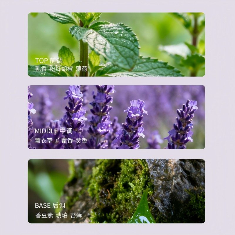 Xunyu Xiang Xuan Series Essential Oil Reed Diffuser Reed Diffuser Patchouli Elixir 150ml