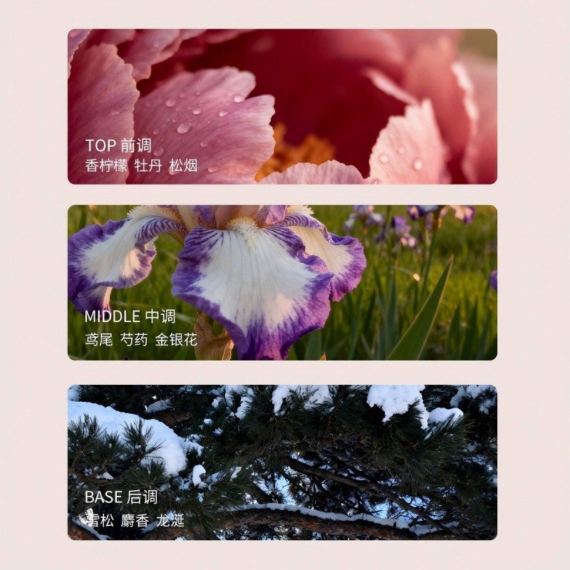 Xunyu Xiang Xuan Series Essential Oil Aromatherapy Pine Smoke & Peony 150ml
