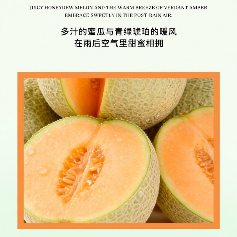 Xunyu Fresh Fruit Aroma Reed Diffuser Amber Honeydew 100ml