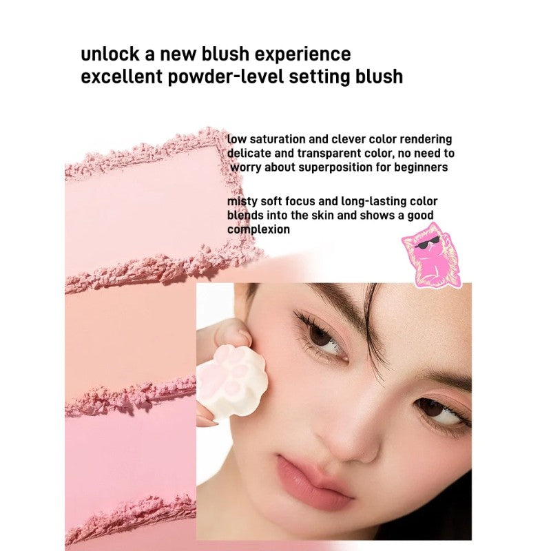 Neiyou Long Lasting Matte Blusher Powder #04 Brick Brown