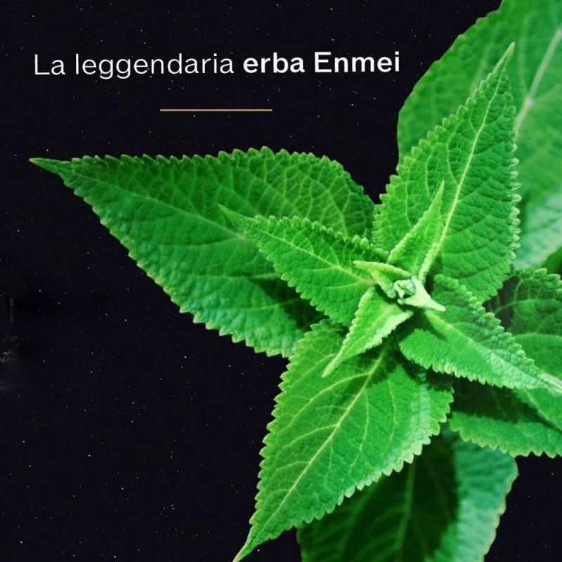 Shiseido Future Solution LX Total Regenerating Night Cream 50ml