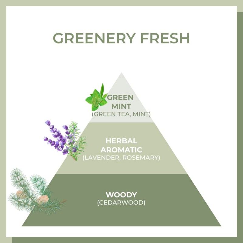 Amos Professional The Green Tea Moisturizing Pack 250ml