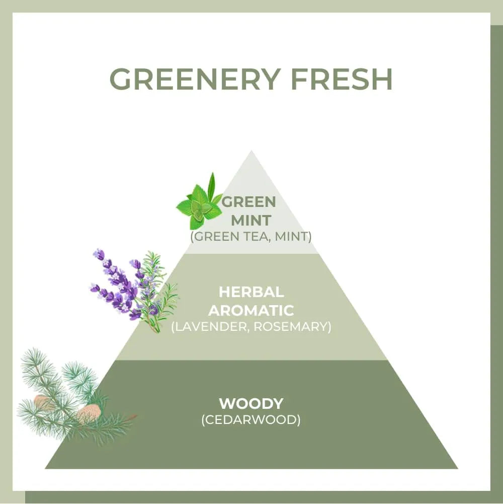 Amos Green Tea Moisturizing Hair Mask 250ml