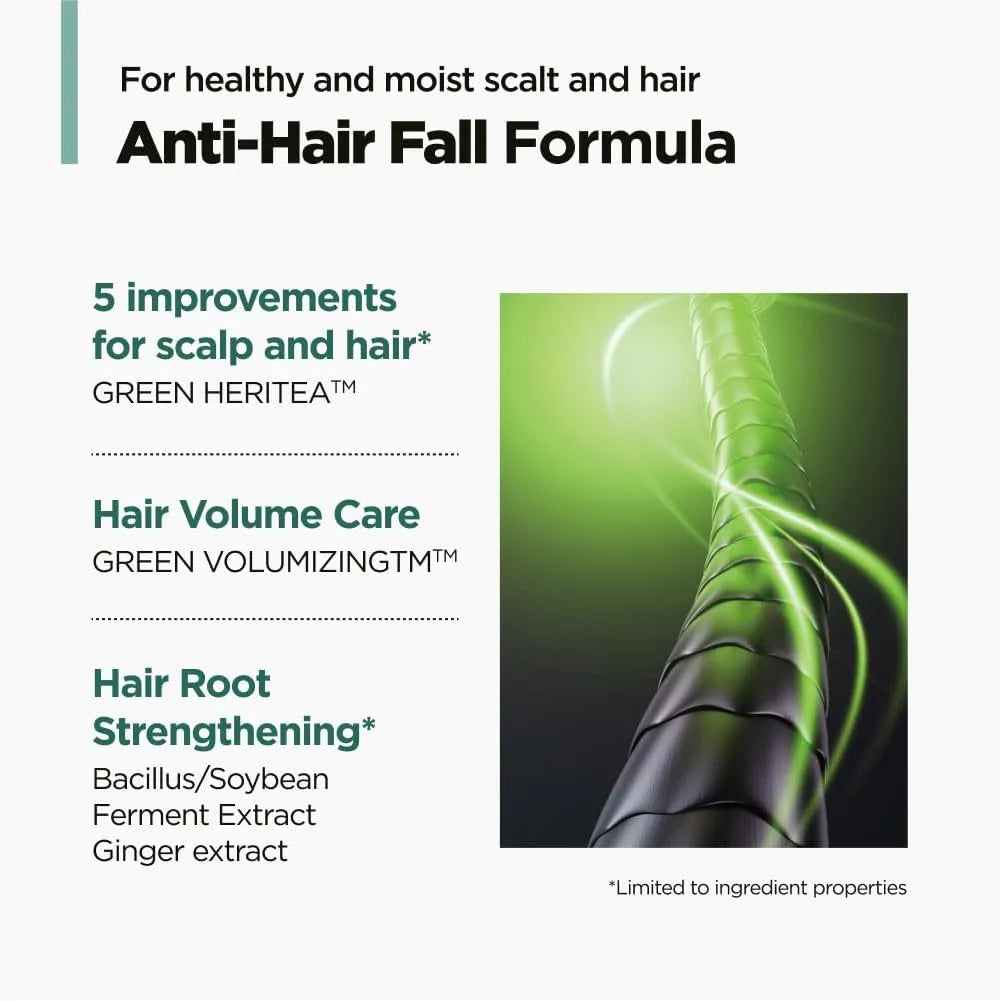 Amos Professional The Green Tea Refresh Shampoo 500ml