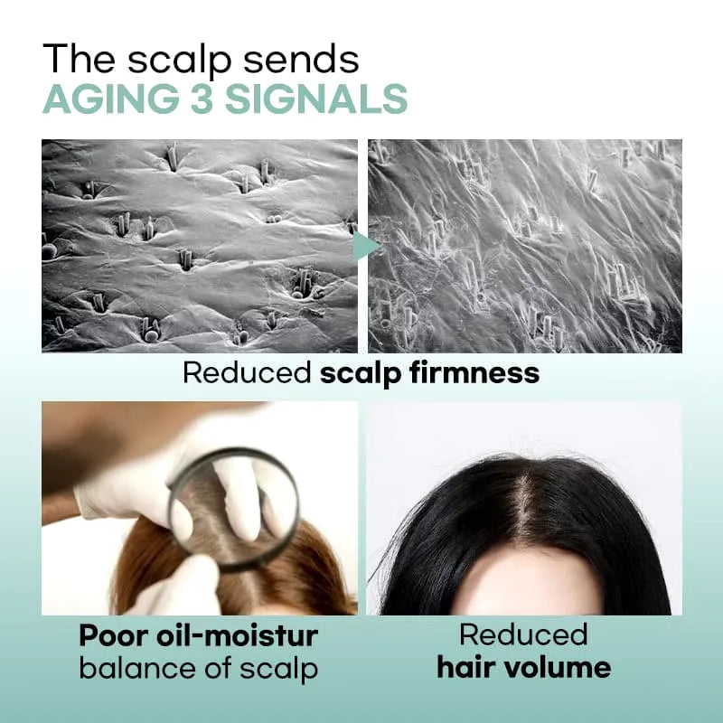 Amos Professional Green Tea Active Shampoo 500ml