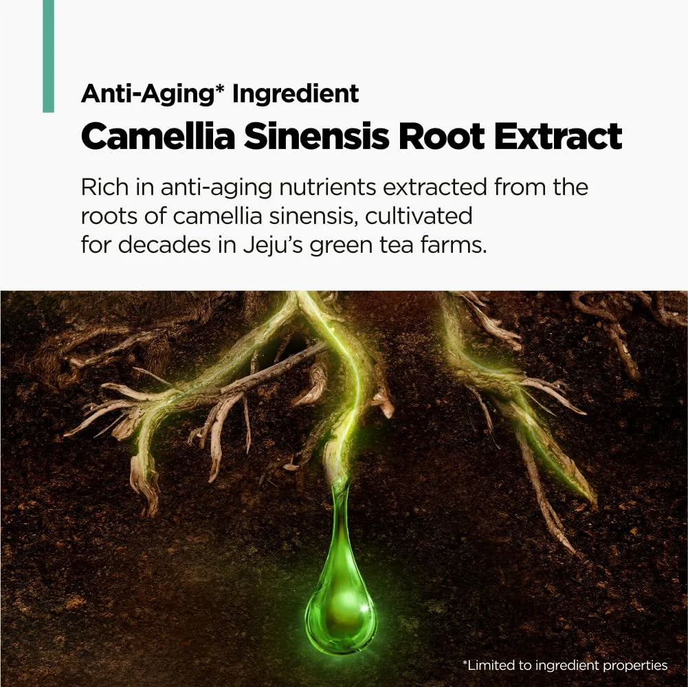 Amos Professional Green Tea Active Hair & Scalp Pack 250ml