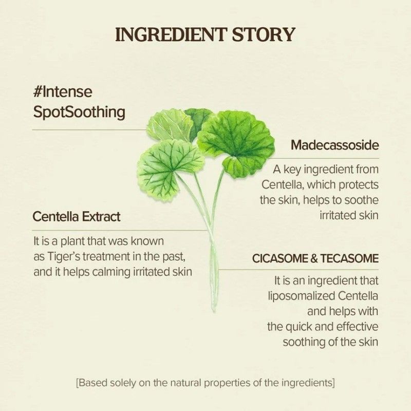 Skinfood Potato Madecassoside Soothing Pad 60+10pcs