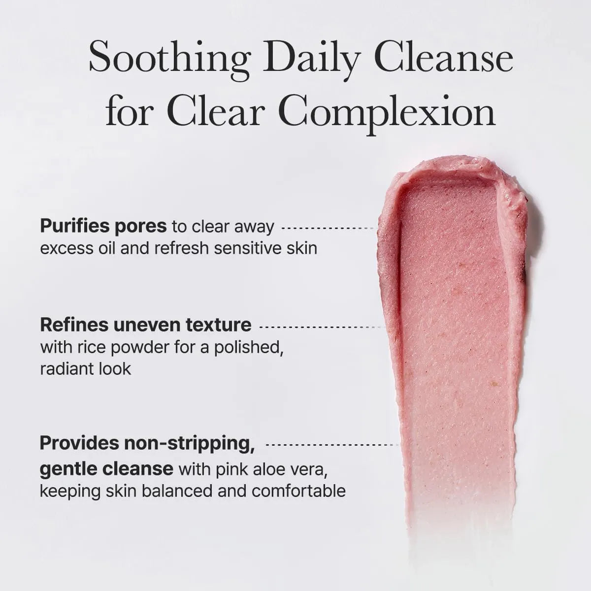 Arencia Fresh Rosehip Rice Mochi Cleanser 120g