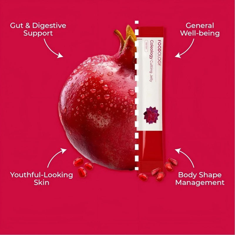 Foodology x Hello Kitty Coleology Cutting Powder Sticks 10+2pcs