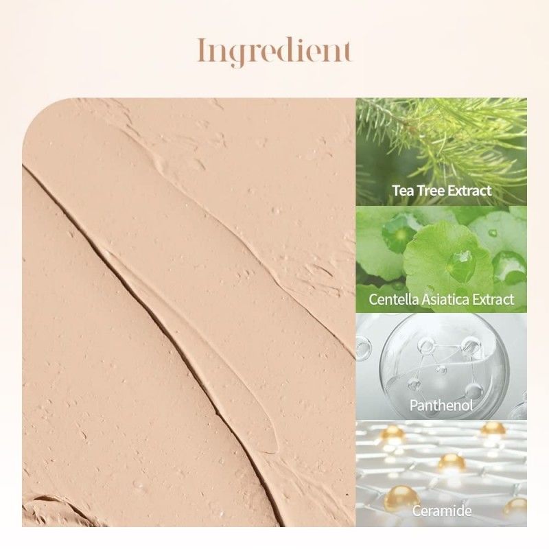 Dasique Pro Concealer Palette #01 Cover