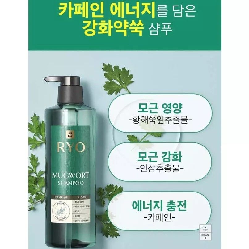 Ryo Mugort Shampoo 800ml
