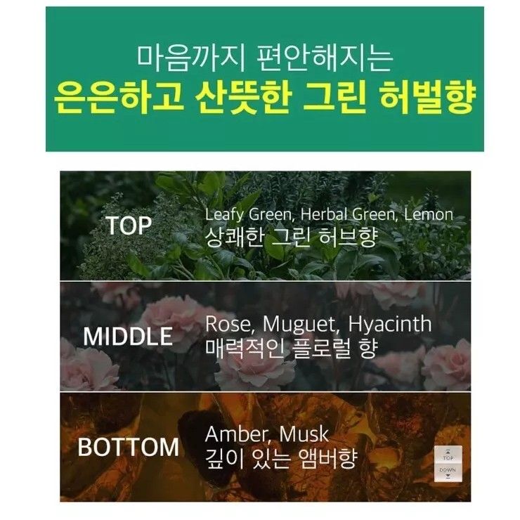 Ryo Mugort Shampoo 800ml