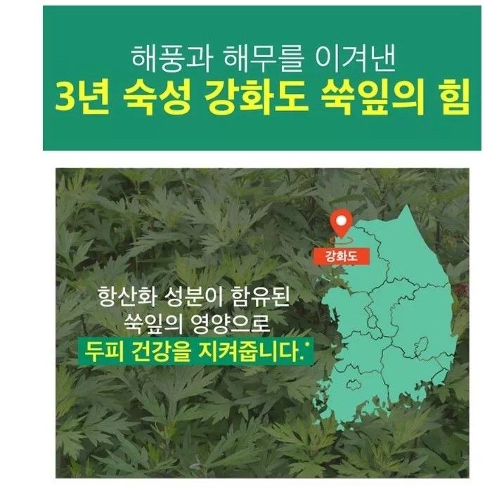 Ryo Mugort Shampoo 800ml