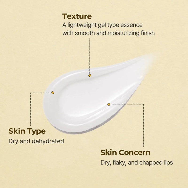 Torriden Solid In Ceramide Lip Essence 2pcs