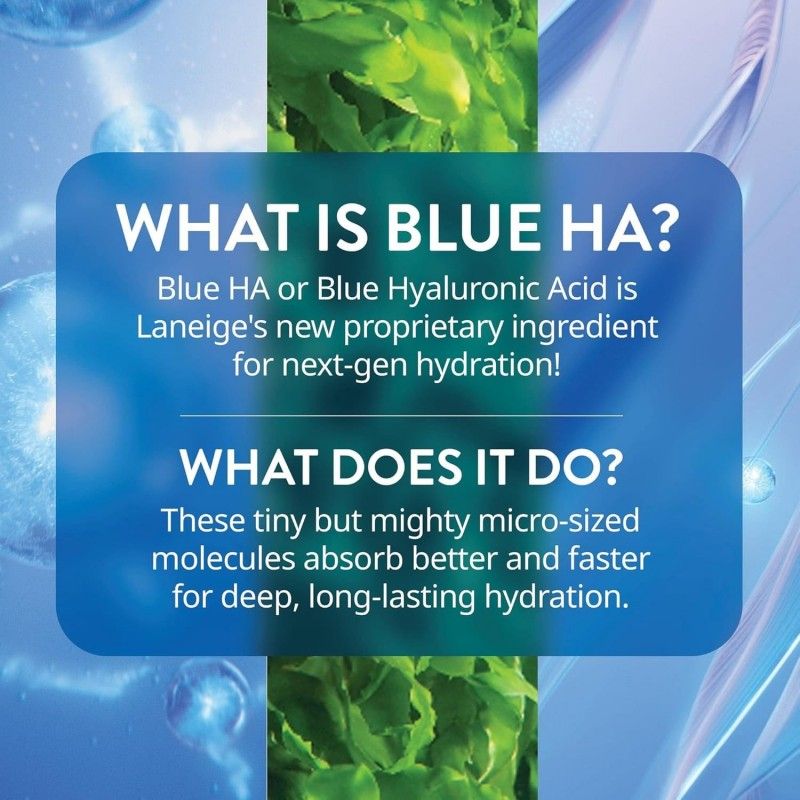Laneige Water Bank Blue Hyaluronic Moisture Cream 50ml