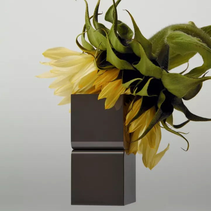 Tamburins Perfume Balm Black Chamo 6.5g