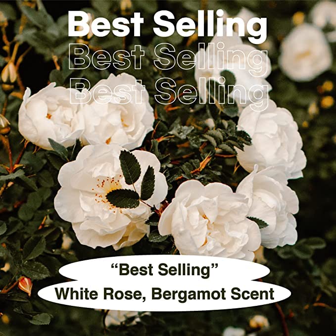 Skybottle Perfumed Hand Cream White Rain 50ml