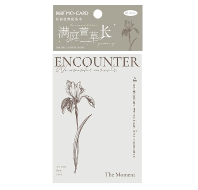 陌墨-植物研究所系列便签本-满庭萱草长