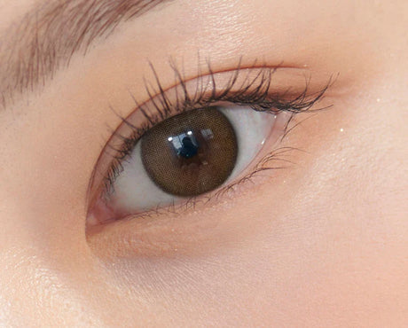 Olens 6 Months Colored Contact Lens Winsome Brown -1.00 1pcs