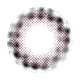 Envie 1-Day Colored Contact Lens Minuit Shell -2.00 30pcs