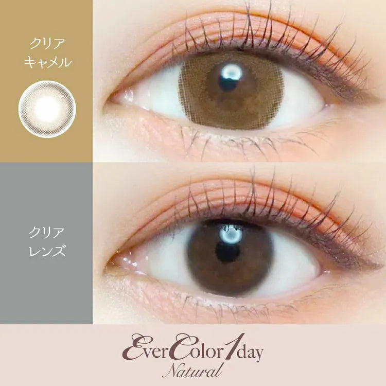 Ever Color 1 Day Colored Contact Lenses Clear Camel -4.00 20pcs