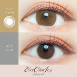 Ever Color 1 Day Colored Contact Lenses Clear Camel -4.00 20pcs