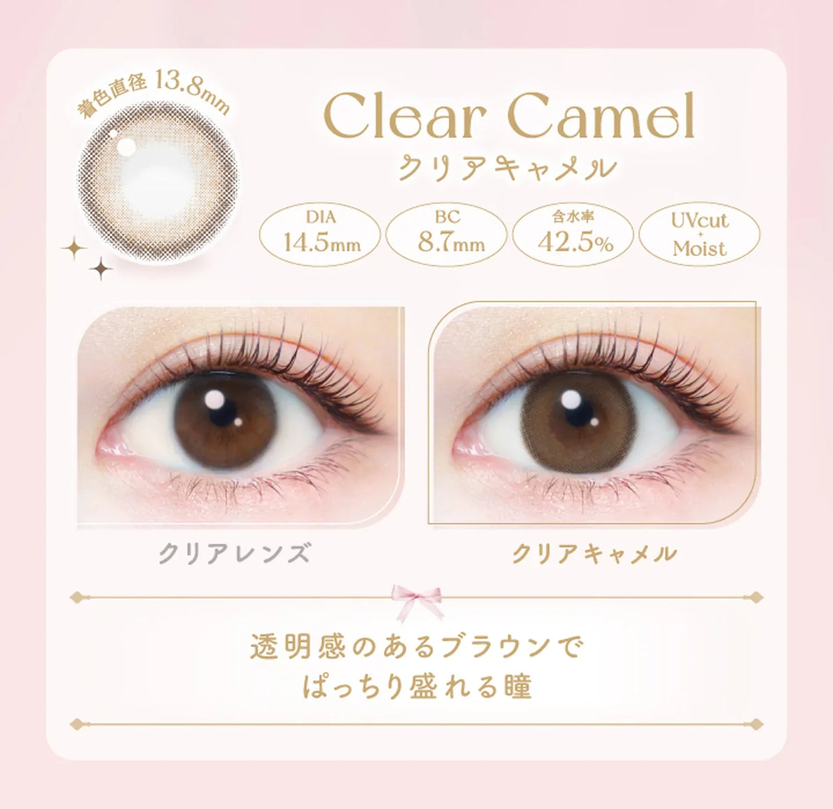 Ever Color 1 Day Colored Contact Lenses Clear Camel -4.00 20pcs