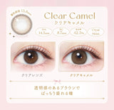 Ever Color 1 Day Colored Contact Lenses Clear Camel -4.00 20pcs
