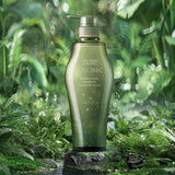 Shiseido Sublimic Fuente Forte Shampoo Dandruff Scalp 500ml