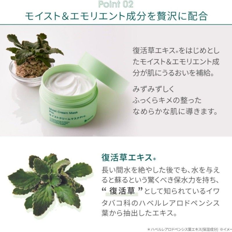 BB Laboratories Moist Cream Mask Pro 175g