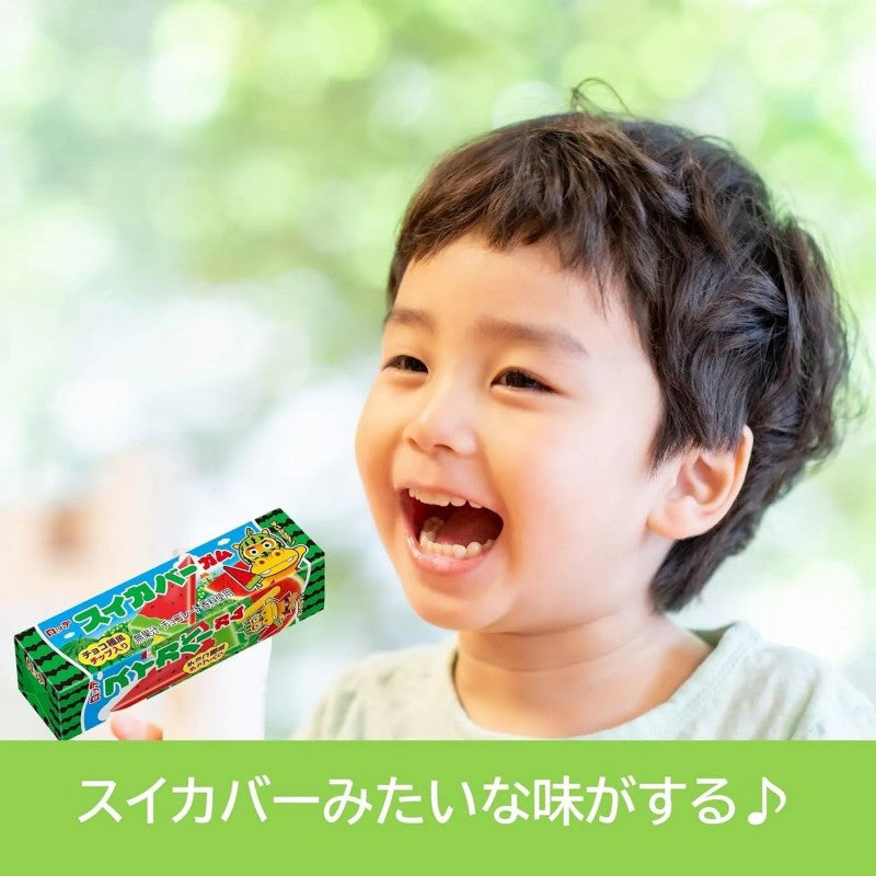 Lotte Swisscover Gum Watermelon