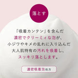 Attenir Dress Lift Facial Wash 120g