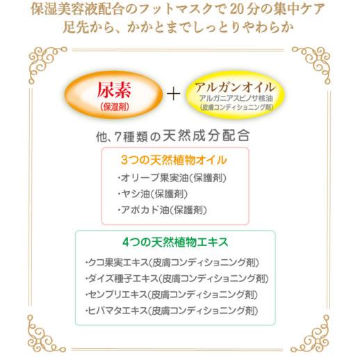 Lucky Trendy Japan Water Peeling Foot Mask