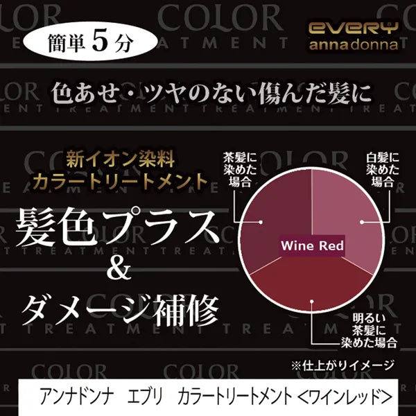Anna Donna Every固色锁色护发素酒红色 160g 