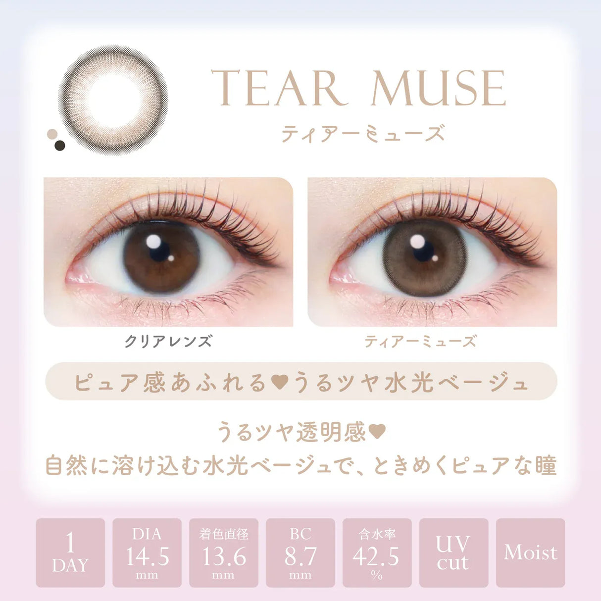 Ever Color Moist Label UV 1-Day Color Contact Lens Tear Muse -5.00 20pcs
